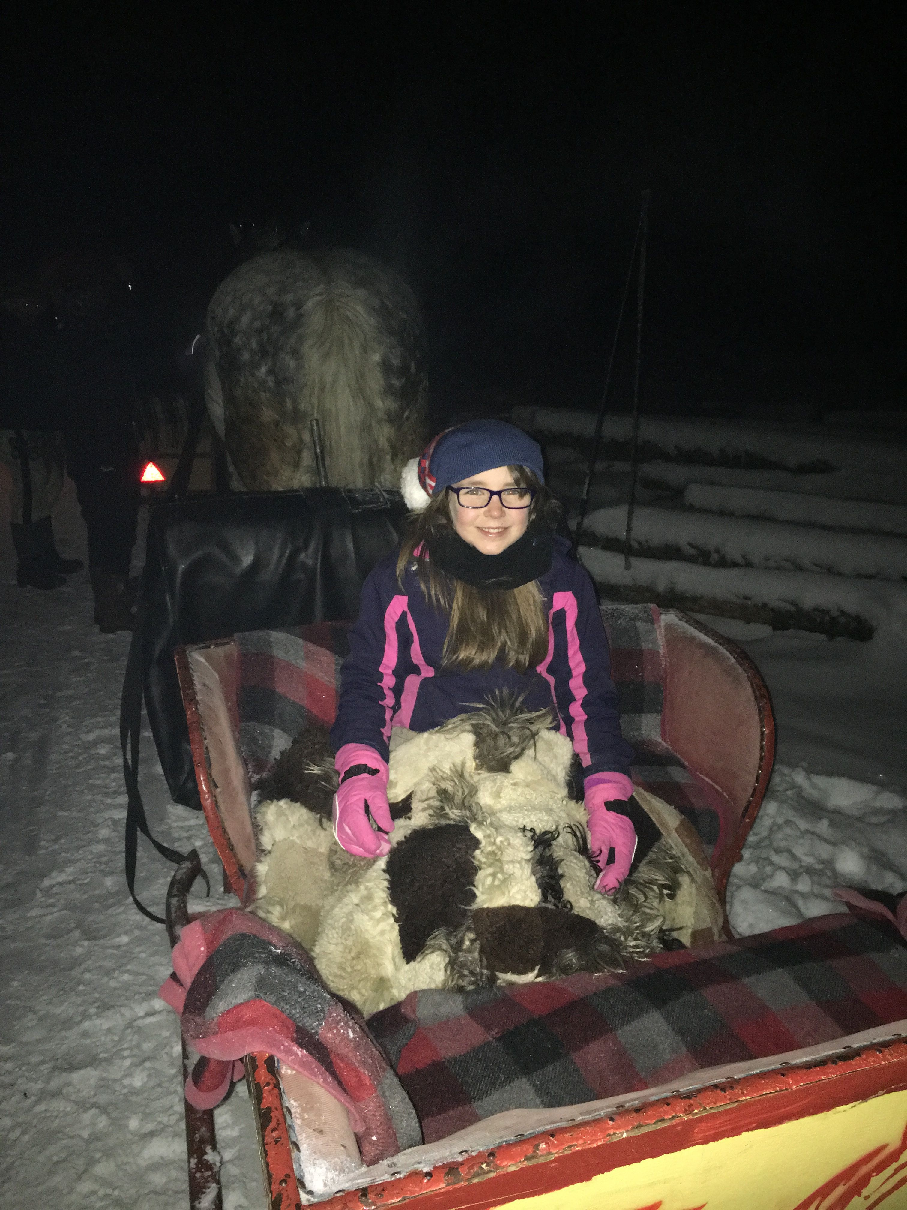 Child enjoying a horse-drawn sleigh ride