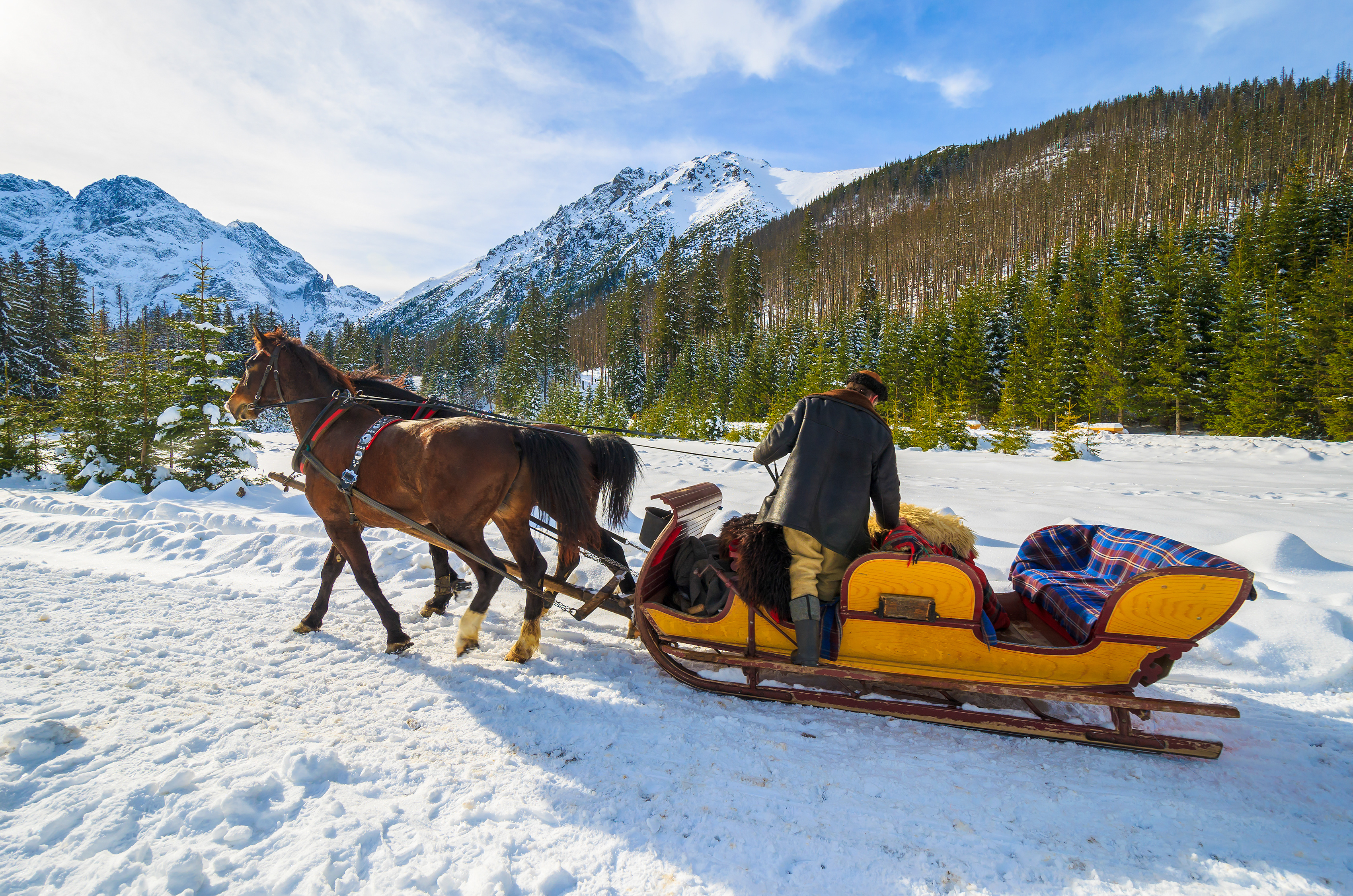 Horse-drawn sleigh ride in Zakopane